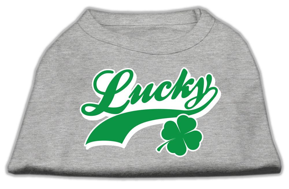 Lucky Swoosh Screen Print Shirt Grey Xxl (18)