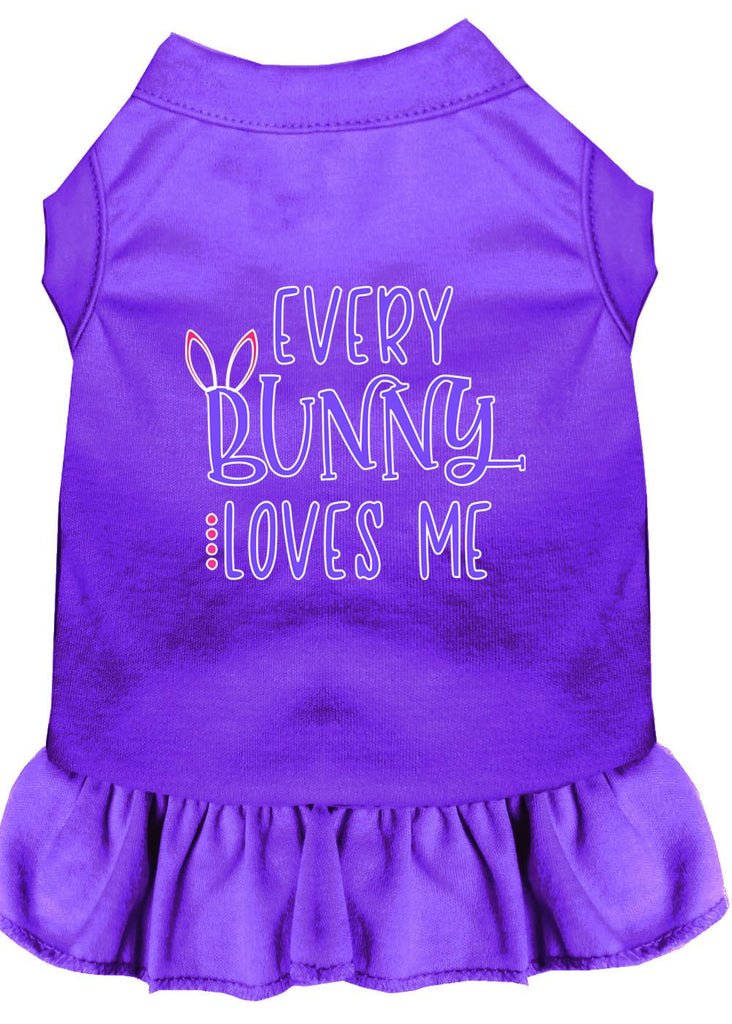 Every Bunny Loves Me Screen Print Dog Dress Purple Lg (14)