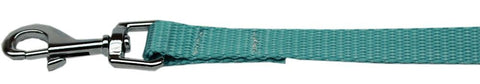 Plain Nylon Pet Leash 3-8in by 4ft Ocean Blue