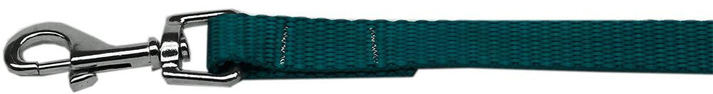 Plain Nylon Pet Leash 3-8in by 4ft Teal