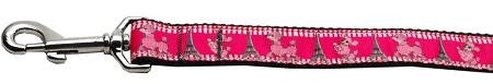 Poodles in Paris Nylon Ribbon Collars 1 wide 4ft Leash