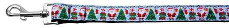 Aqua Santa Nylon Ribbon Collars 1 wide 6ft Leash