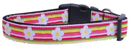 Striped Daisy Ribbon Dog Collars Medium