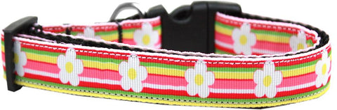 Striped Daisy Nylon Ribbon Dog Collar XL