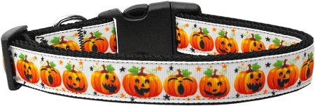 Pumpkin Parade Nylon Dog Collar Medium Narrow