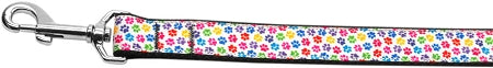 Confetti Paws Nylon Dog Leash 3-8 Inch Wide 4ft Long