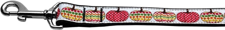 Pretty Pumpkins Nylon Dog Leash 3-8 Inch Wide 6ft Long