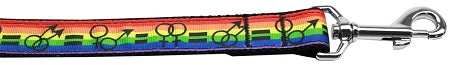 Equality Nylon Dog Leash 3-8 Inch Wide 6ft Long