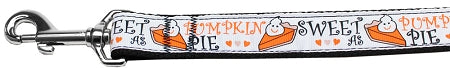 Pumpkin Pie Nylon Dog Leash 5-8 Inch Wide 4ft Long