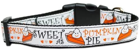 Pumpkin Pie Nylon Dog Collar Large