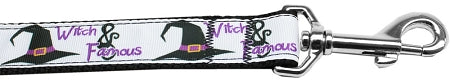 Witch And Famous Nylon Dog Leash 3-8 Inch Wide 4ft Long