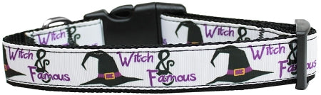 Witch And Famous Nylon Dog Collar Medium Narrow