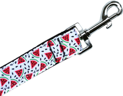 Watermelon Nylon Pet Leash 3-8in By 4ft