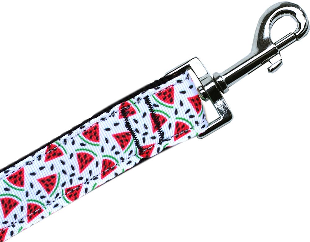 Watermelon Nylon Pet Leash 3-8in By 6ft