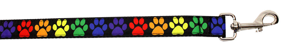 Rainbow Paws Nylon Pet Leash 1in By 4ft