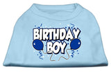 Birthday Boy Screen Print Shirts