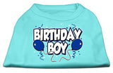 Birthday Boy Screen Print Shirts