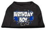 Birthday Boy Screen Print Shirts