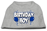 Birthday Boy Screen Print Shirts