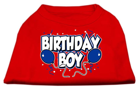 Birthday Boy Screen Print Shirts