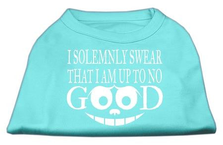 Up to No Good Screen Print Shirt Aqua Lg (14)