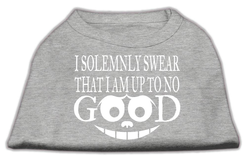 Up to No Good Screen Print Shirt Grey Lg (14)