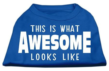 This is What Awesome Looks Like Dog Shirt Blue Lg (14)