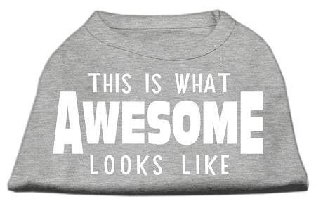 This is What Awesome Looks Like Dog Shirt Grey Med (12)