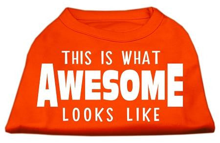 This is What Awesome Looks Like Dog Shirt Orange Med (12)