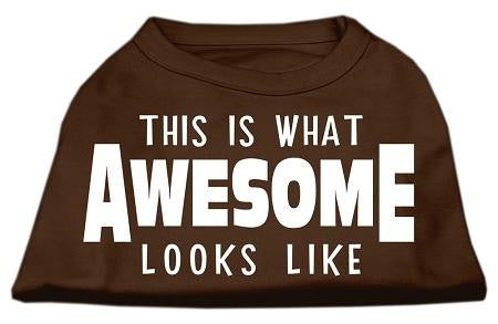 This is What Awesome Looks Like Dog Shirt Brown Sm (10)