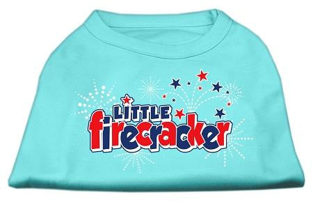 Little Firecracker Screen Print Shirts Aqua L (14)