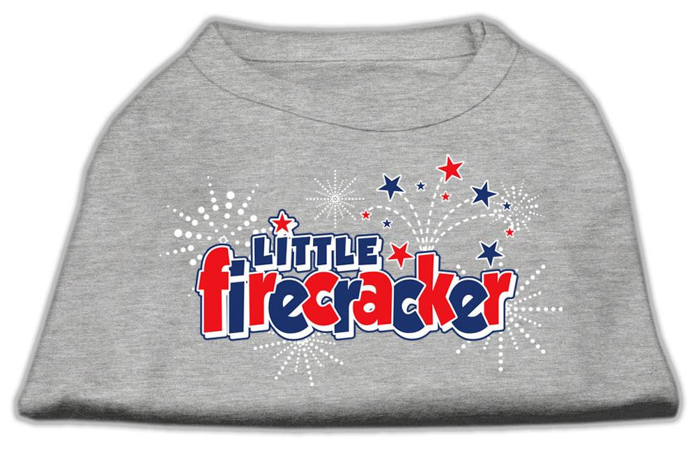 Little Firecracker Screen Print Shirts Grey M (12)