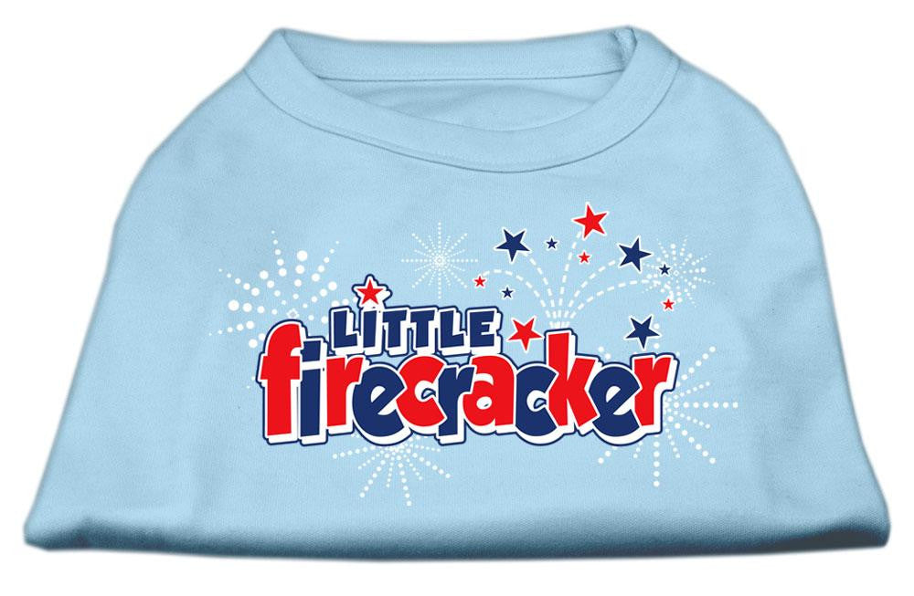 Little Firecracker Screen Print Shirts Baby Blue XL (16)