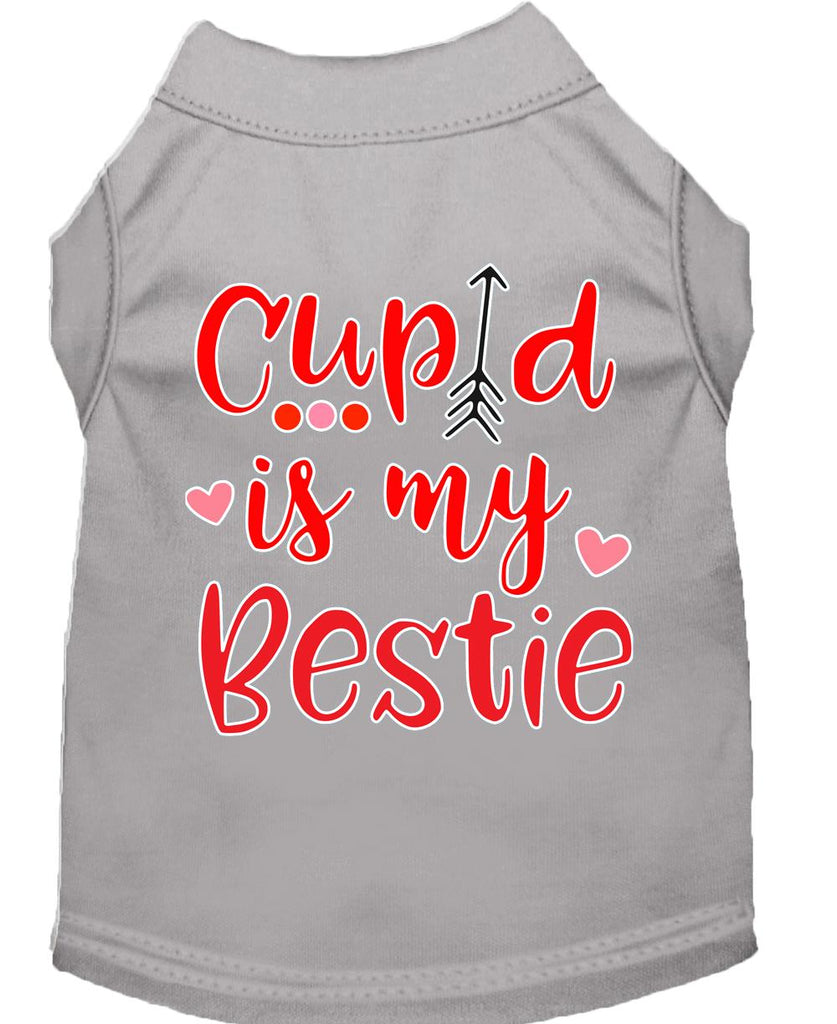 Cupid Is My Bestie Screen Print Dog Shirt Grey Xl (16)