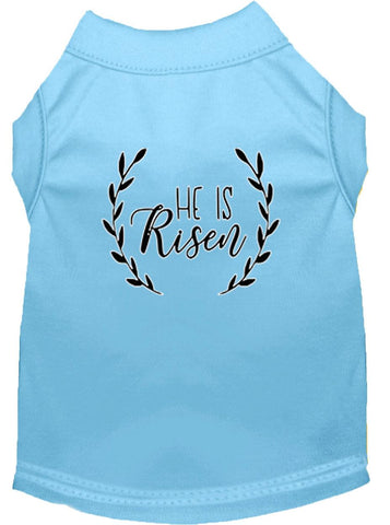 He Is Risen Screen Print Dog Shirt Baby Blue Med (12)