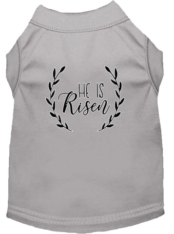 He Is Risen Screen Print Dog Shirt Grey Lg (14)