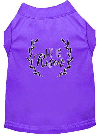 He Is Risen Screen Print Dog Shirt Purple Lg (14)
