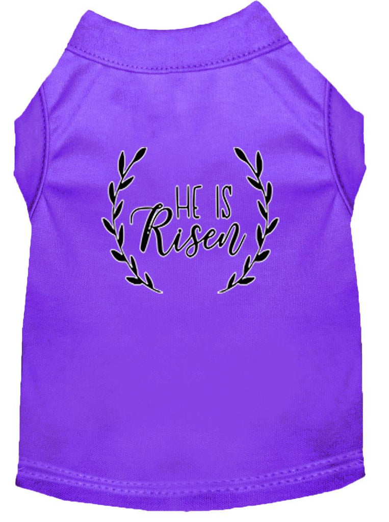 He Is Risen Screen Print Dog Shirt Purple Xxl (18)