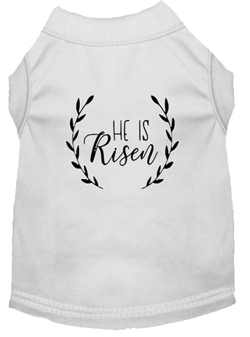 He Is Risen Screen Print Dog Shirt White Xxl (18)
