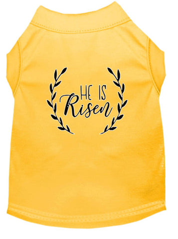 He Is Risen Screen Print Dog Shirt Yellow Xxxl (20)