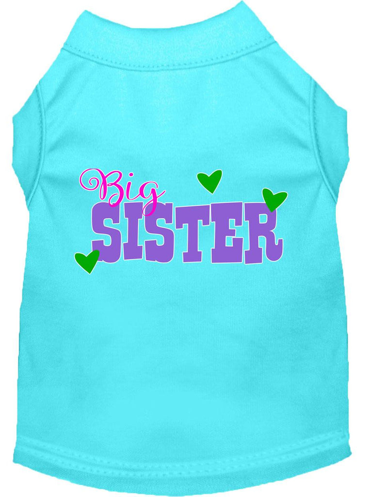 Big Sister Screen Print Dog Shirt Aqua Lg