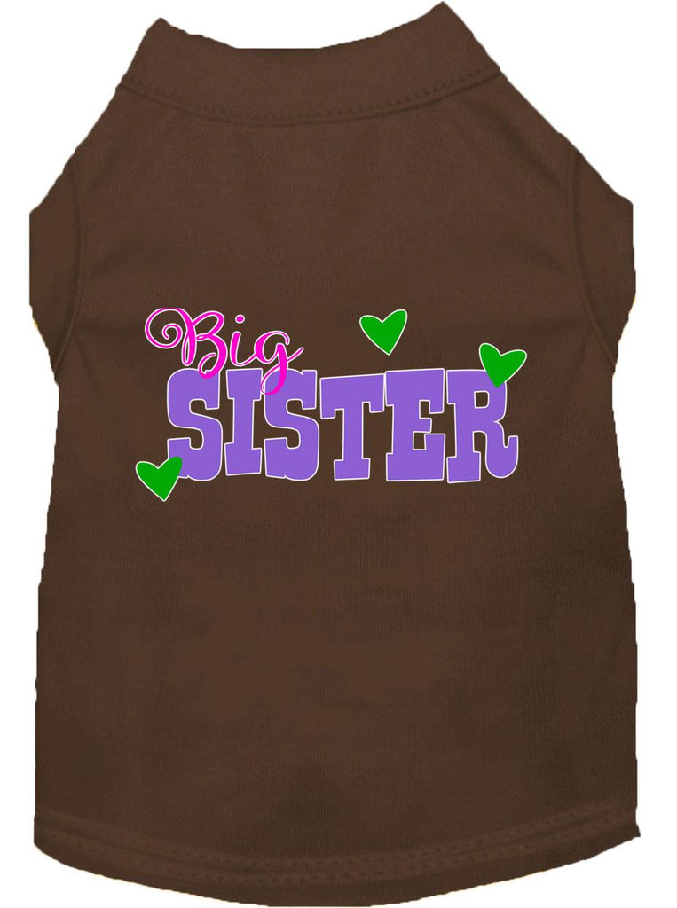 Big Sister Screen Print Dog Shirt Brown Xl