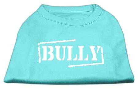 Bully Screen Printed Shirt  Aqua Lg (14)