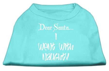 Dear Santa I Went with Naughty Screen Print Shirts Aqua XXXL (20)