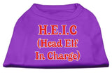 Head Elf In Charge Screen Print Shirt