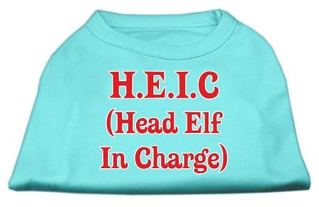 Head Elf In Charge Screen Print Shirt Aqua XL (16)