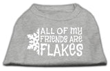 All My Friends Are Flakes Screen Print Shirt