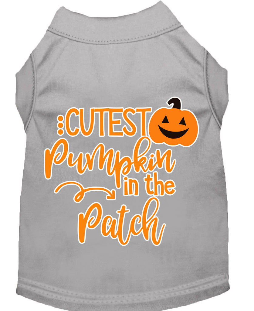 Cutest Pumpkin In The Patch Screen Print Dog Shirt Grey Lg