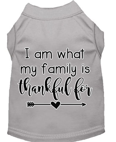 I Am What My Family Is Thankful For Screen Print Dog Shirt Grey Lg