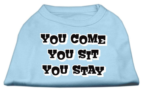 You Come, You Sit, You Stay Screen Print Shirts Baby Blue M (12)